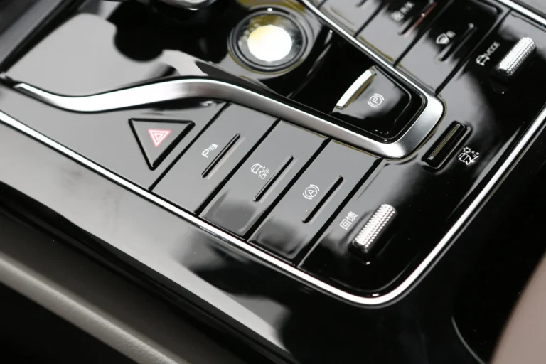  Qin Plus EV