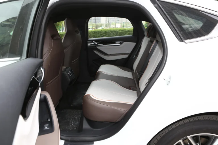  Qin Plus EV