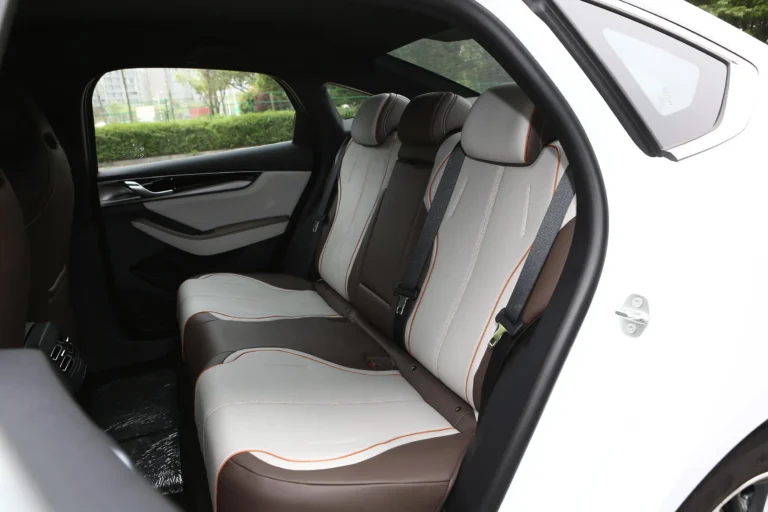  Qin Plus EV