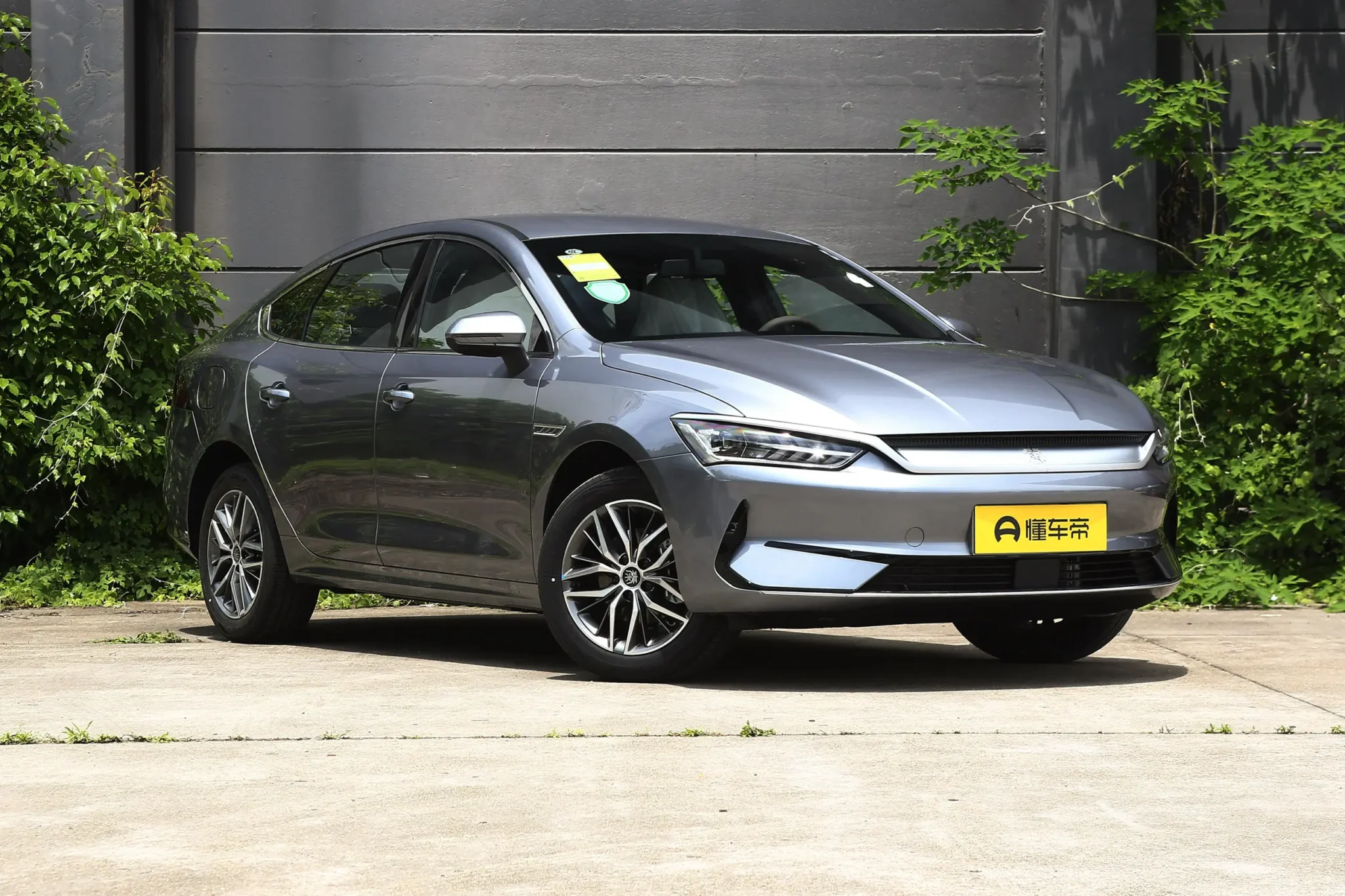  Qin Plus EV