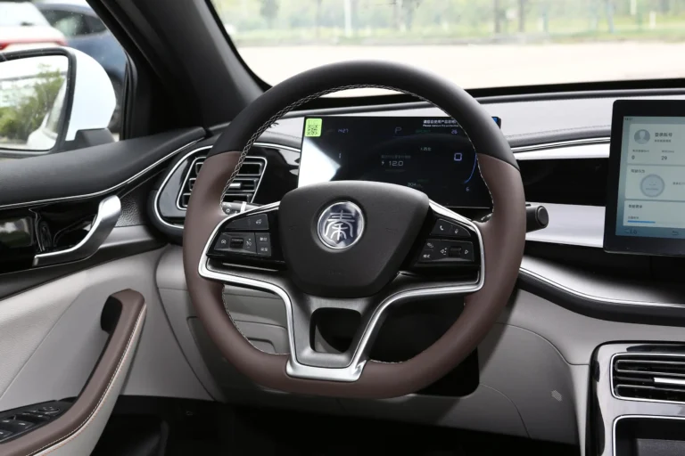  Qin Plus EV
