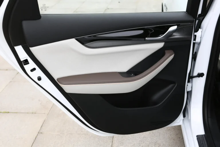 Qin Plus EV
