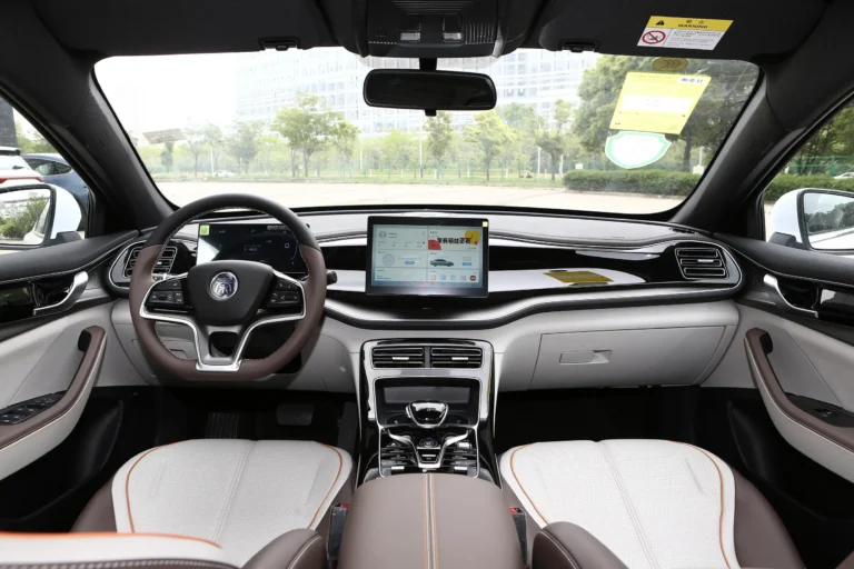  Qin Plus EV