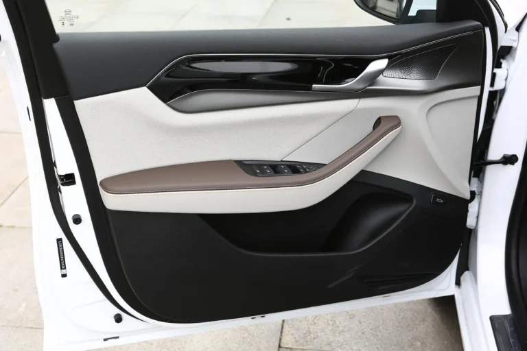  Qin Plus EV