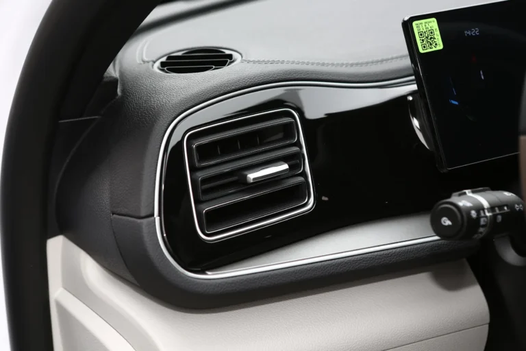  Qin Plus EV