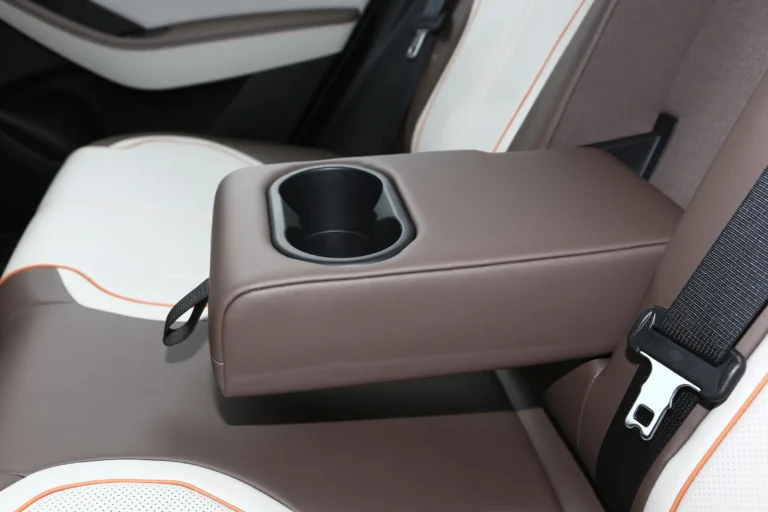  Qin Plus EV