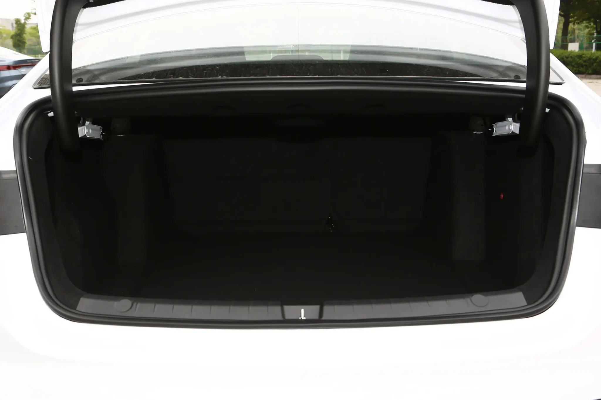  Qin Plus EV