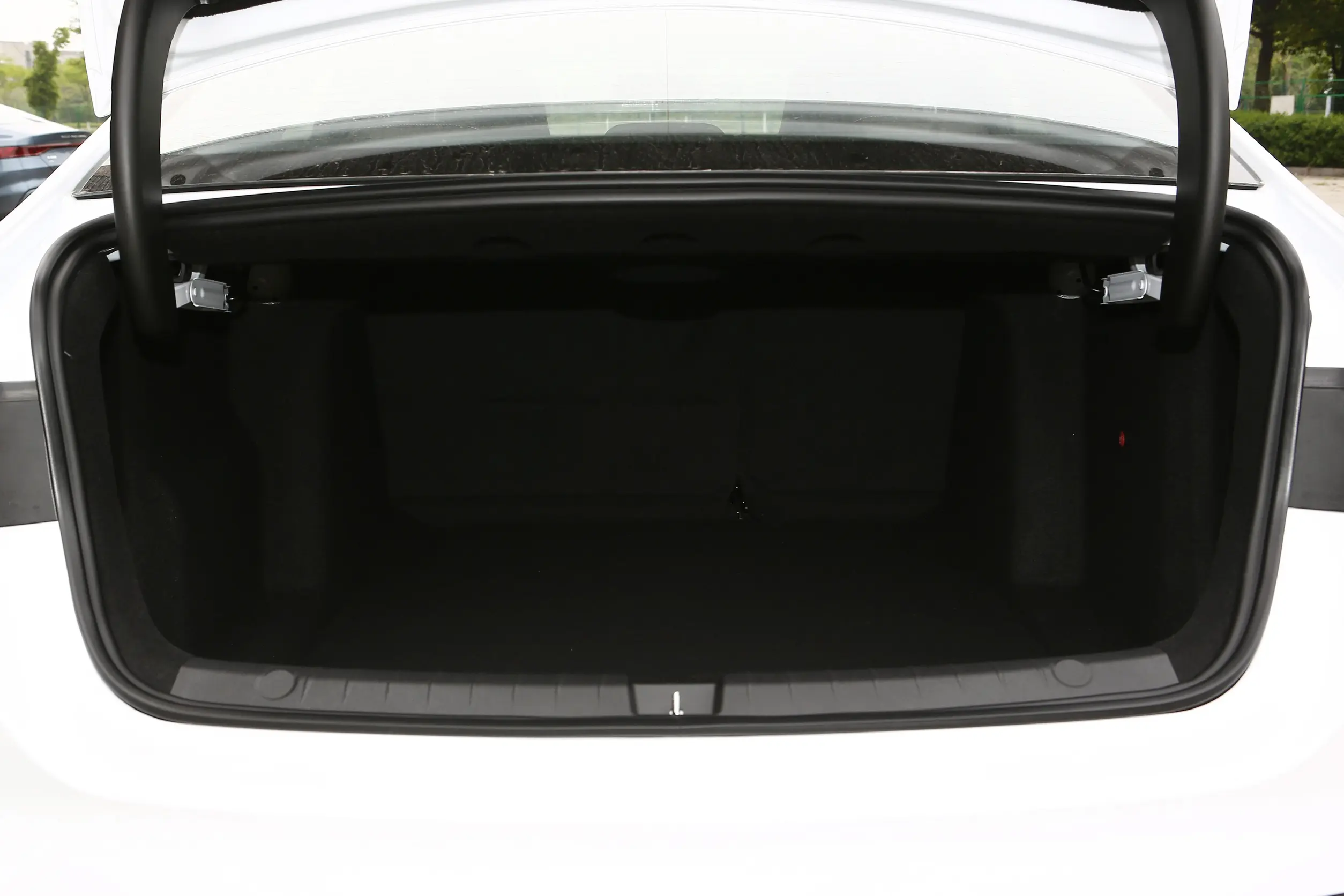  Qin Plus EV