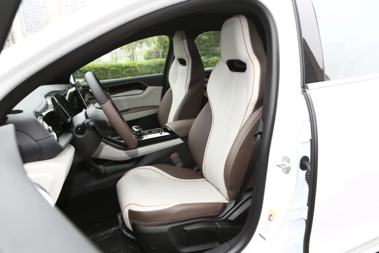  Qin Plus EV