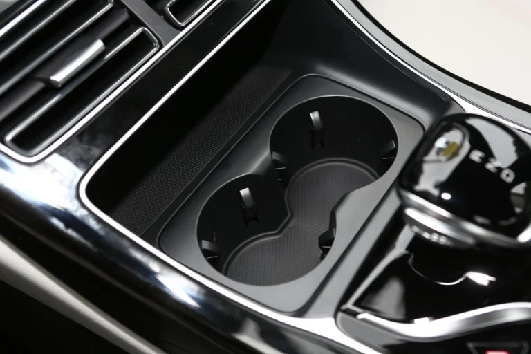  Qin Plus EV