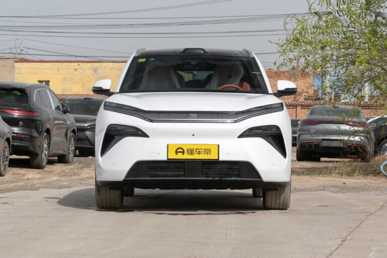  Tang L